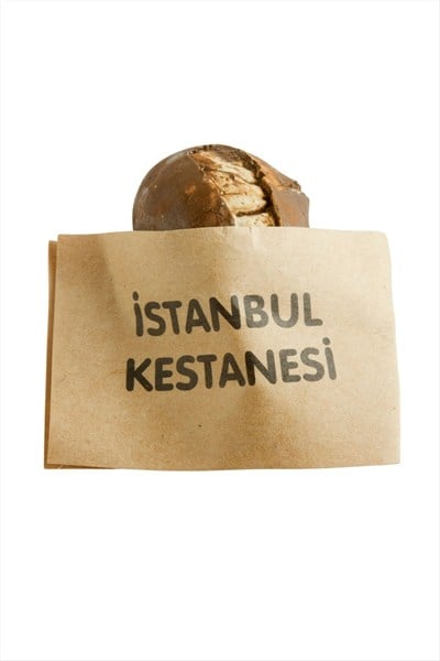 Kestane Magnet
