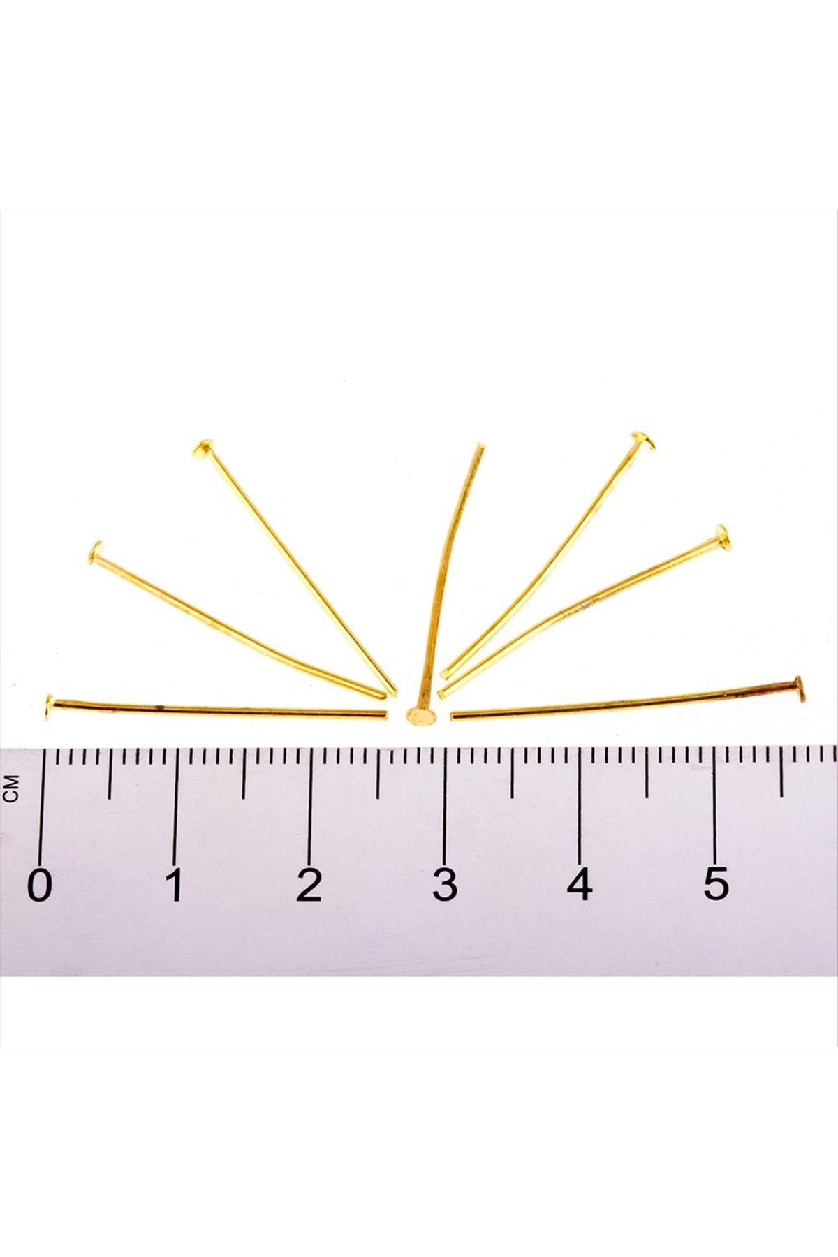 2,6 cm Çivi 500 Gram