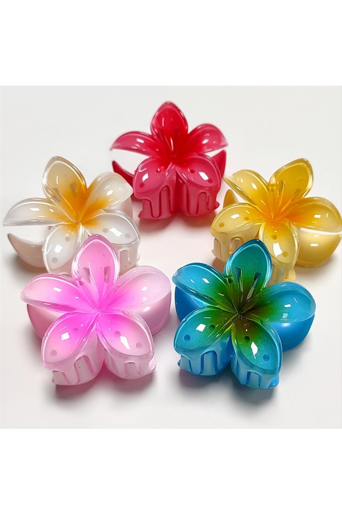 Lotus Toka 6 cm Orta Boy