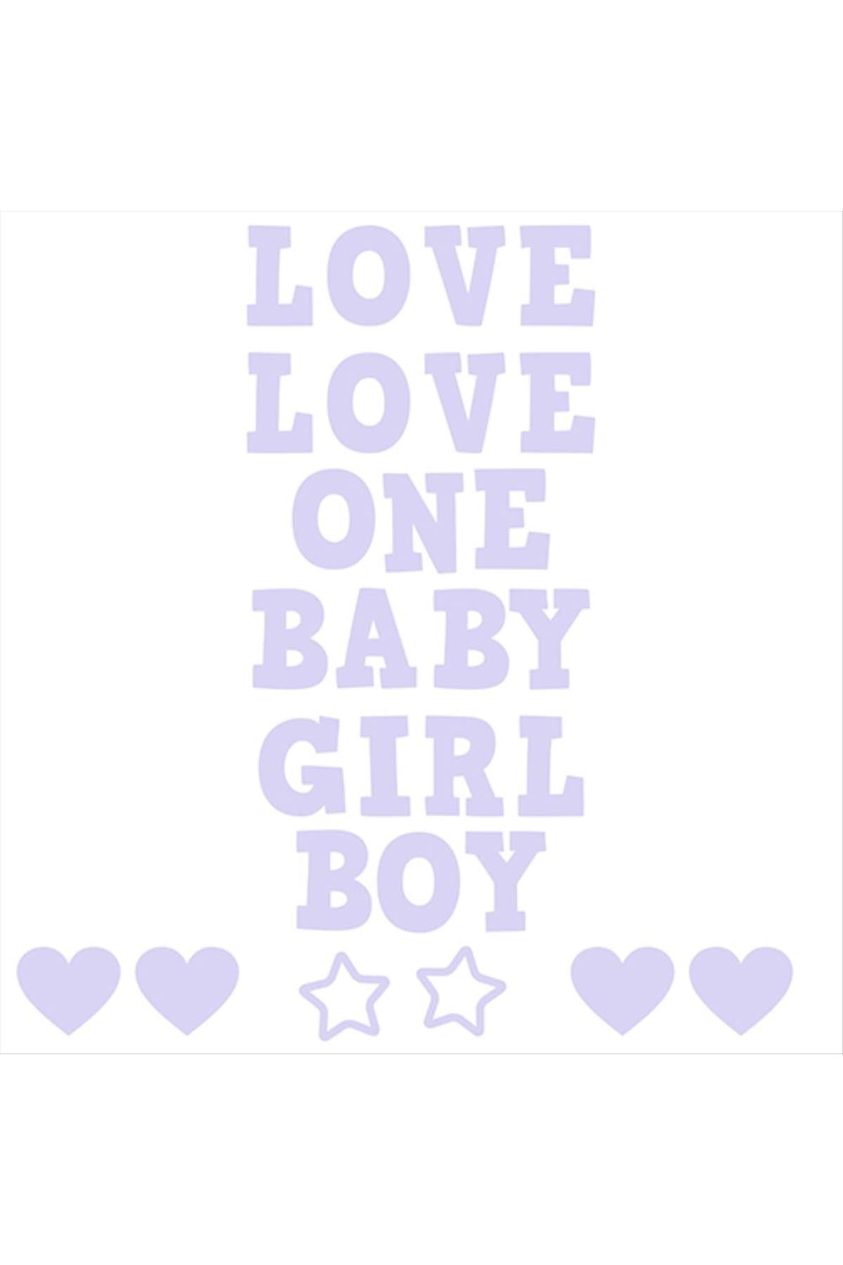 Şeffaf Balon Kutusu 25cm