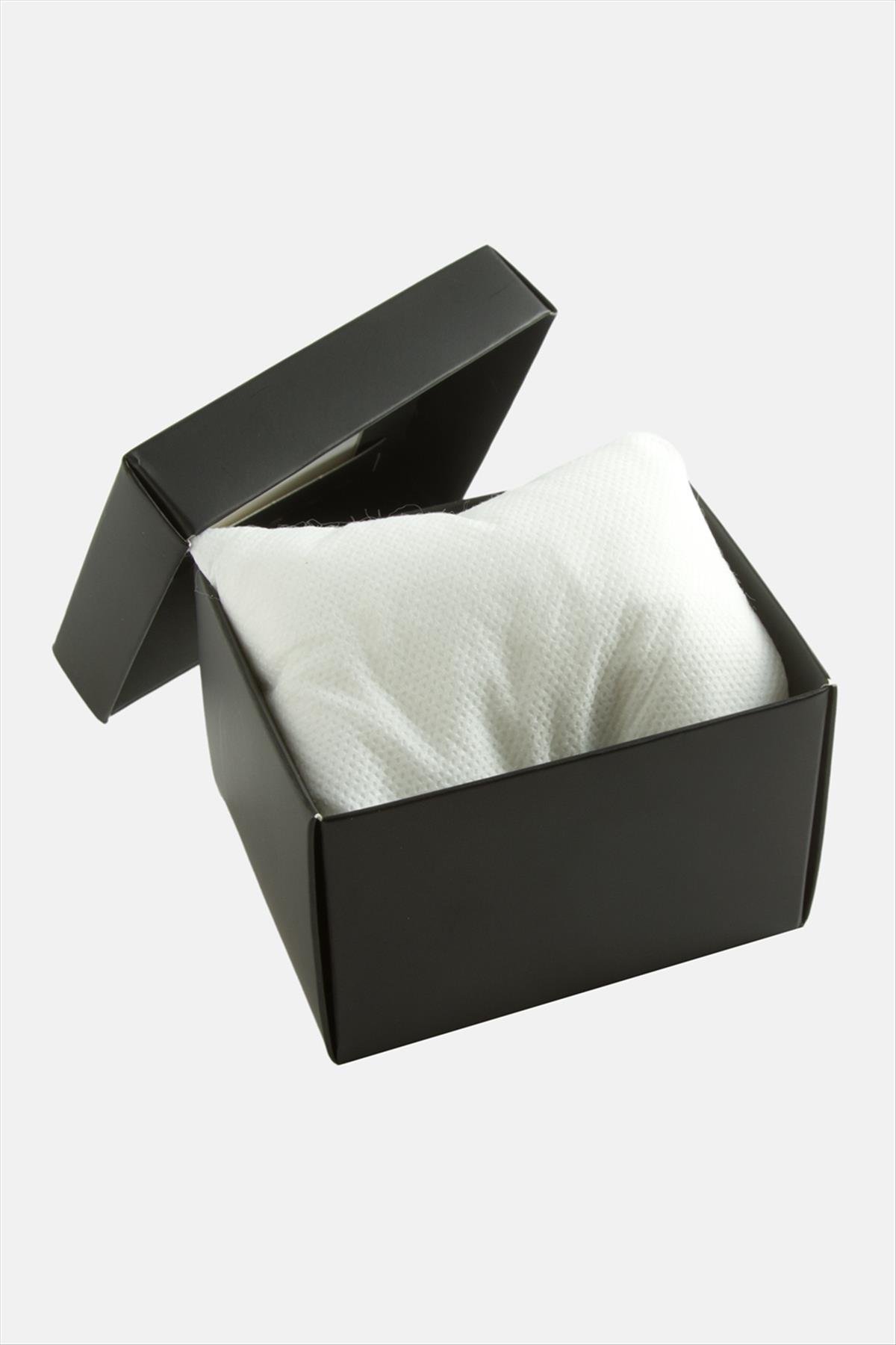 Siyah Renkli Kapaklı Saat Kutusu