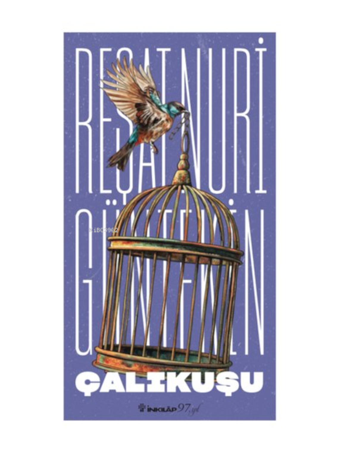 ÇALIKUŞU - İNKİLAP