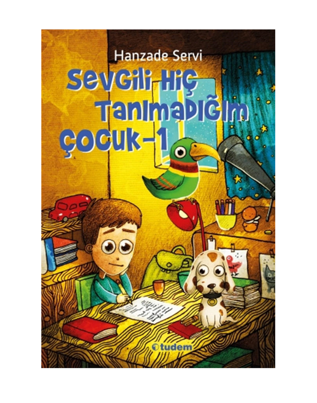 Sevgili Hiç Tanımadığım Çocuk- 1-Hanzade Servi