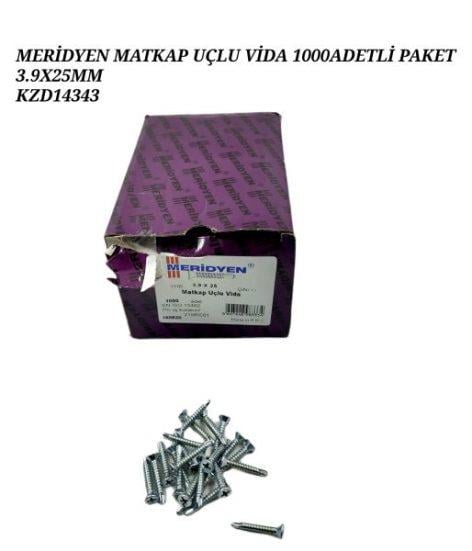 160620   MERİDYEN MATKAP UÇLU VİDA 1000li 3,9*25