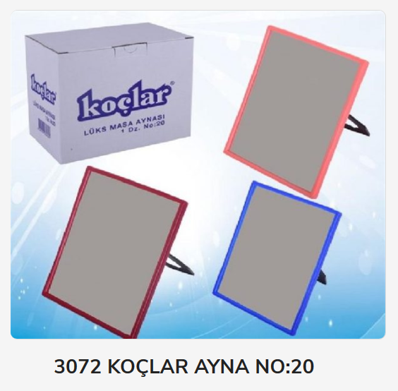 3072   KOÇLAR AYNA NO:20