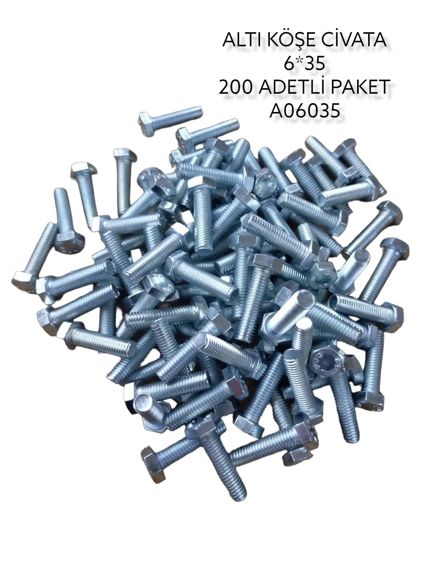 A06035   DAYSTAR ALTIKÖŞE CİVATA 6*35