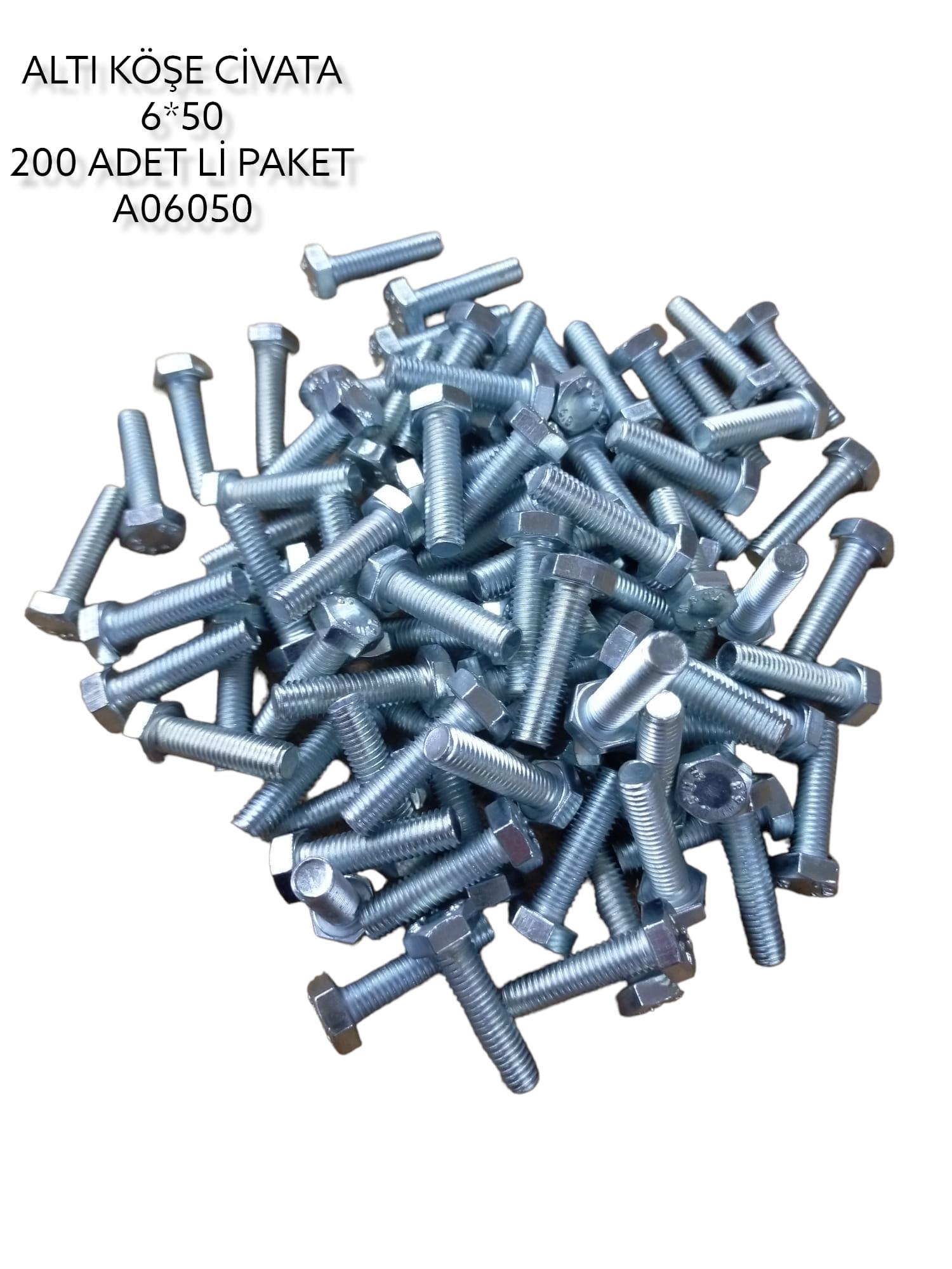 A06050   DAYSTAR ALTIKÖŞE CİVATA 6*50