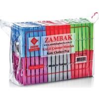 ZP141   ZAMBAK KALE ÇAMAŞIR MANDALI 144lü