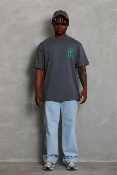 Erkek Baskılı T-Shirt Kısa Kol Bisiklet Yaka Regular Fit Rahat Kalıp Günlük Tişört - Füme
