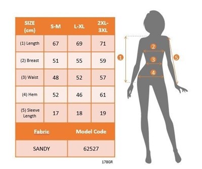 Kadın Kısa Kollu V Yakalı Sandy Bluz