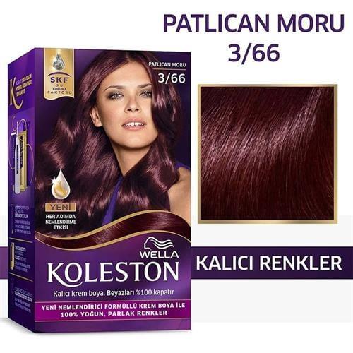 Koleston Set Boya 3/66 Patlıcan Moru