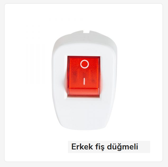 L11   TOPRAKLI ERKEK FİŞ (Anahtarlı)