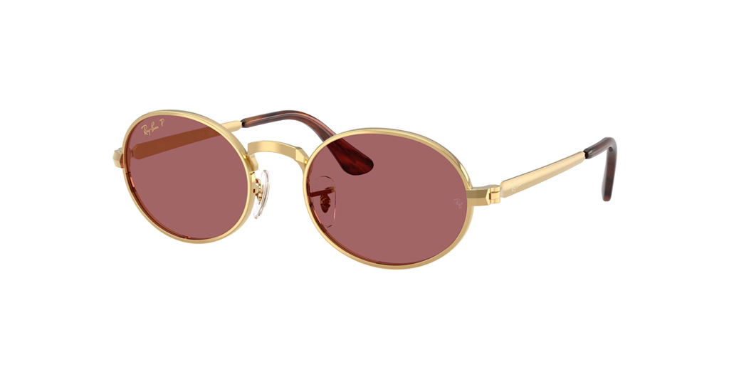 Ray Ban x A$AP Rocky 3931 001/AF 54 G Unisex Güneş Gözlükleri