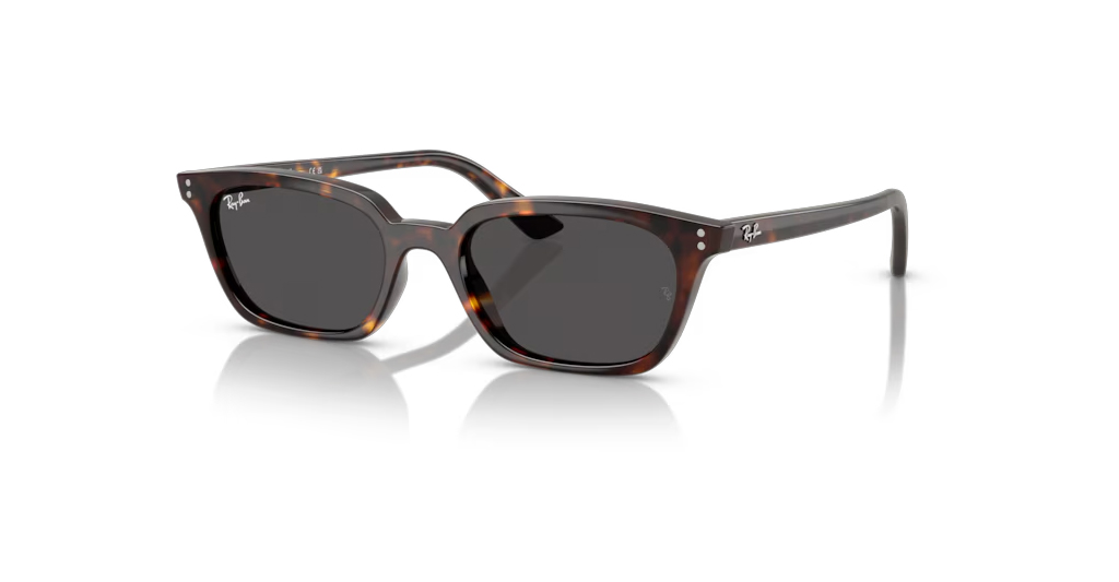 Rayban 4456 135987 50 Unisex Güneş Gözlükleri