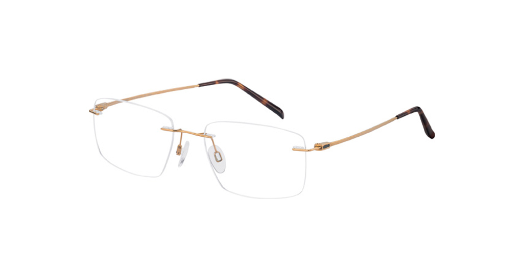 Charmant 29718 GP 55-19 Unisex Optik Gözlükler
