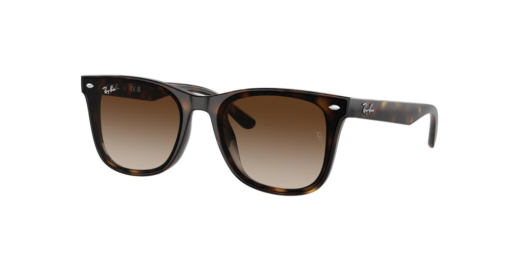Rayban 4420 710/13 65 Kadın Güneş Gözlükleri