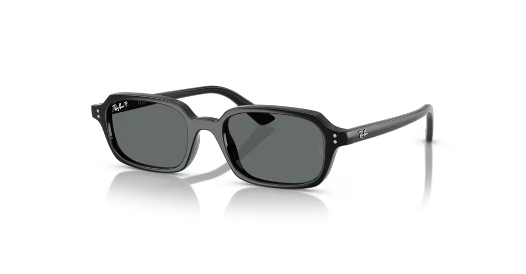 Rayban 4455 667781 49 Unisex Güneş Gözlükleri