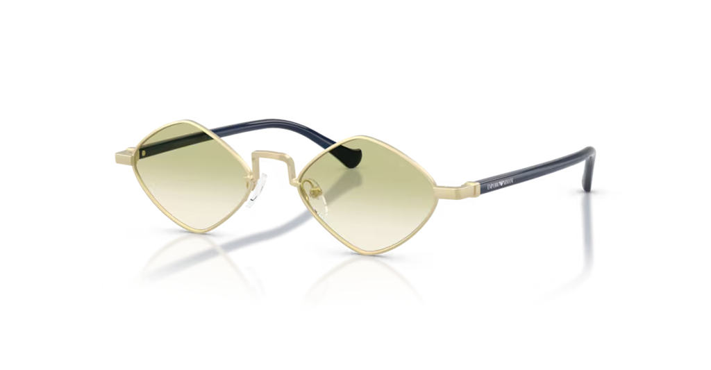 Emporio Armani 2182 30028E 50 G Unisex Güneş Gözlükleri