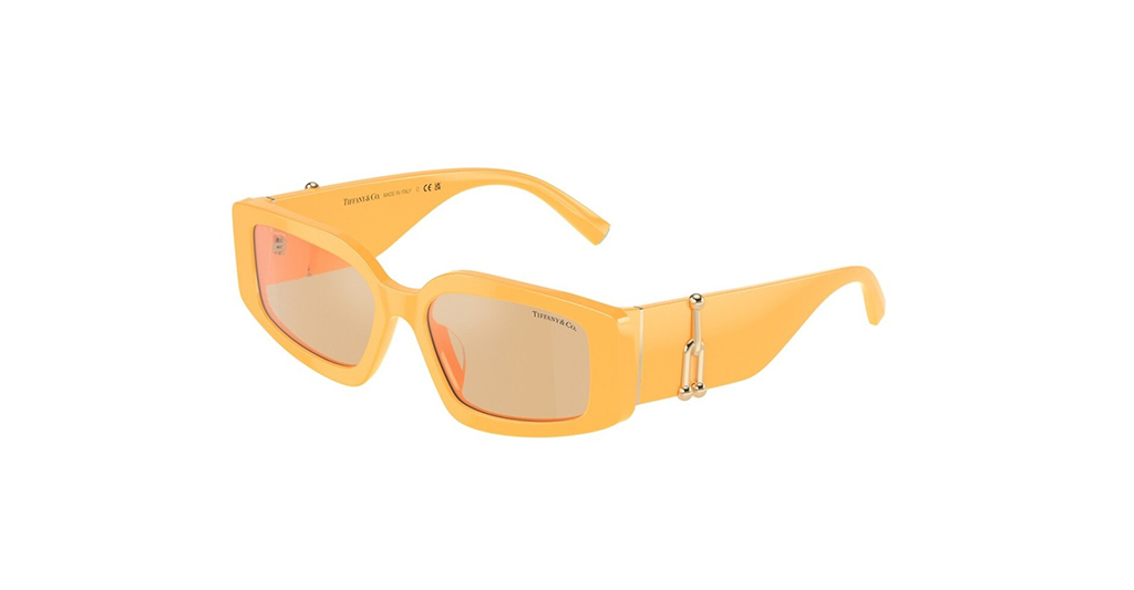 Tiffany & Co. 4208U 83842S 54 G Kadın Güneş Gözlükleri