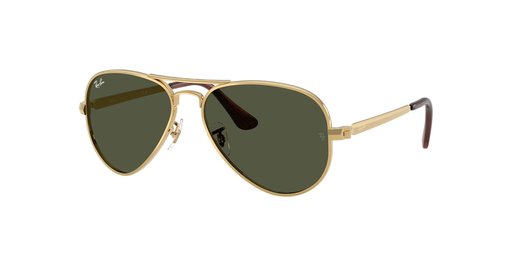Rayban 3925 001/31 62 G Güneş Gözlüğü