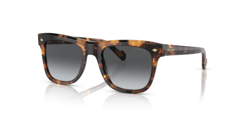 Vogue 5465S 2819T3 51 G Erkek Güneş Gözlükleri