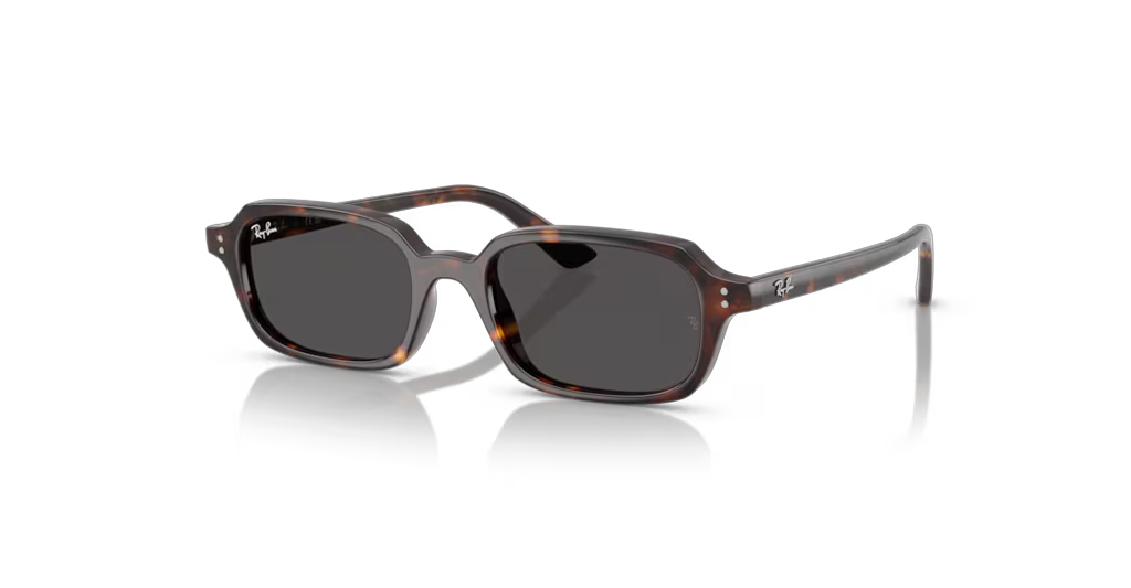 Rayban 4455 135987 52 G Unisex Güneş Gözlükleri