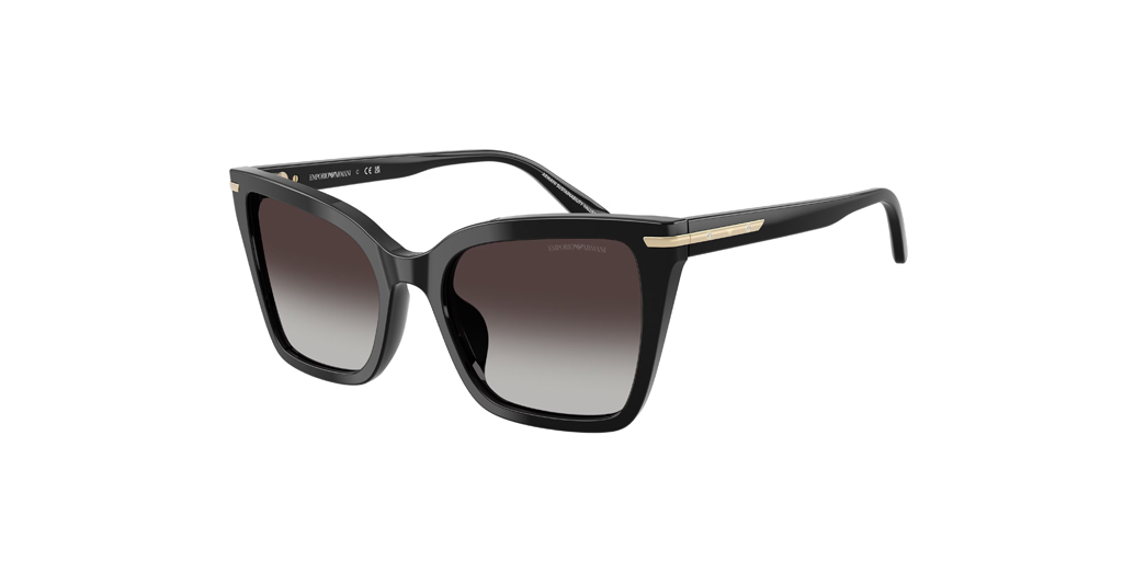 Emporio Armani 4273BU 50178G 53 G Kadın Güneş Gözlükleri