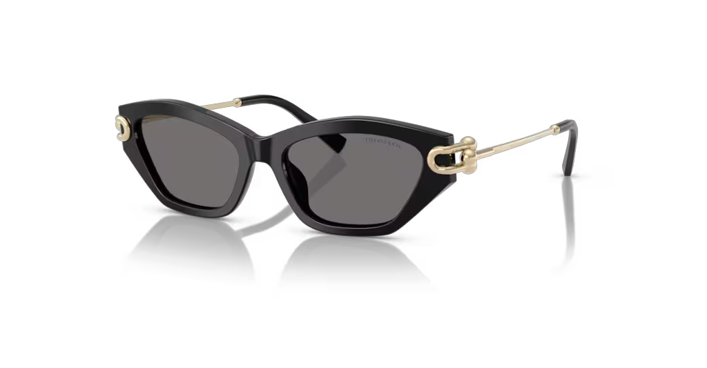 Tiffany & Co. 4231U 800181 53 G Kadın Güneş Gözlükleri