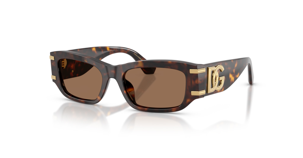 Dolce Gabbana 4564 502/73 53 G Kadın Güneş Gözlükleri