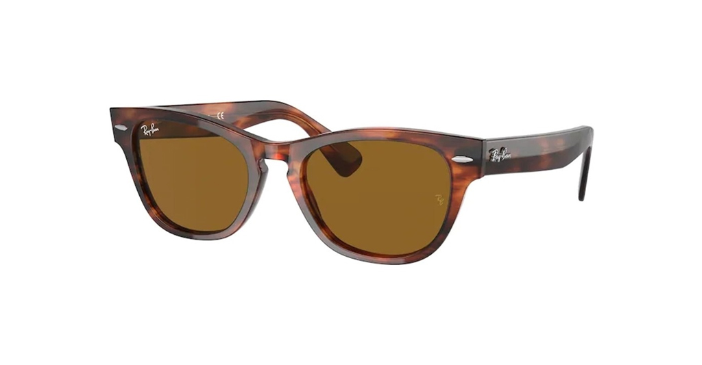 Rayban 2201 954/33 54 Ray Ban Güneş Gözlüğü