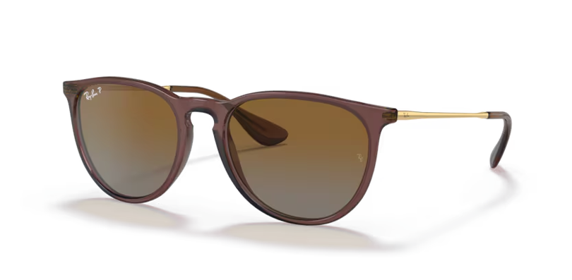 Rayban 4171 6593T5 54 Kadın Güneş Gözlükleri