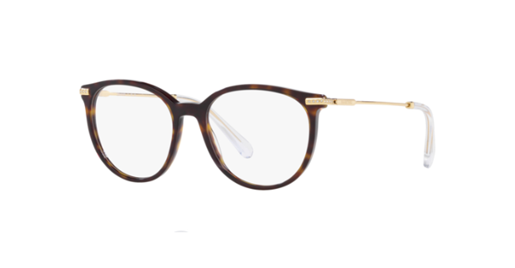 Swarovski 2009 1002 50 kadın Optik Gözlükler