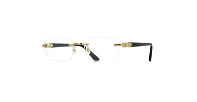 cartier-ct0287o-001-h20g31dk-
