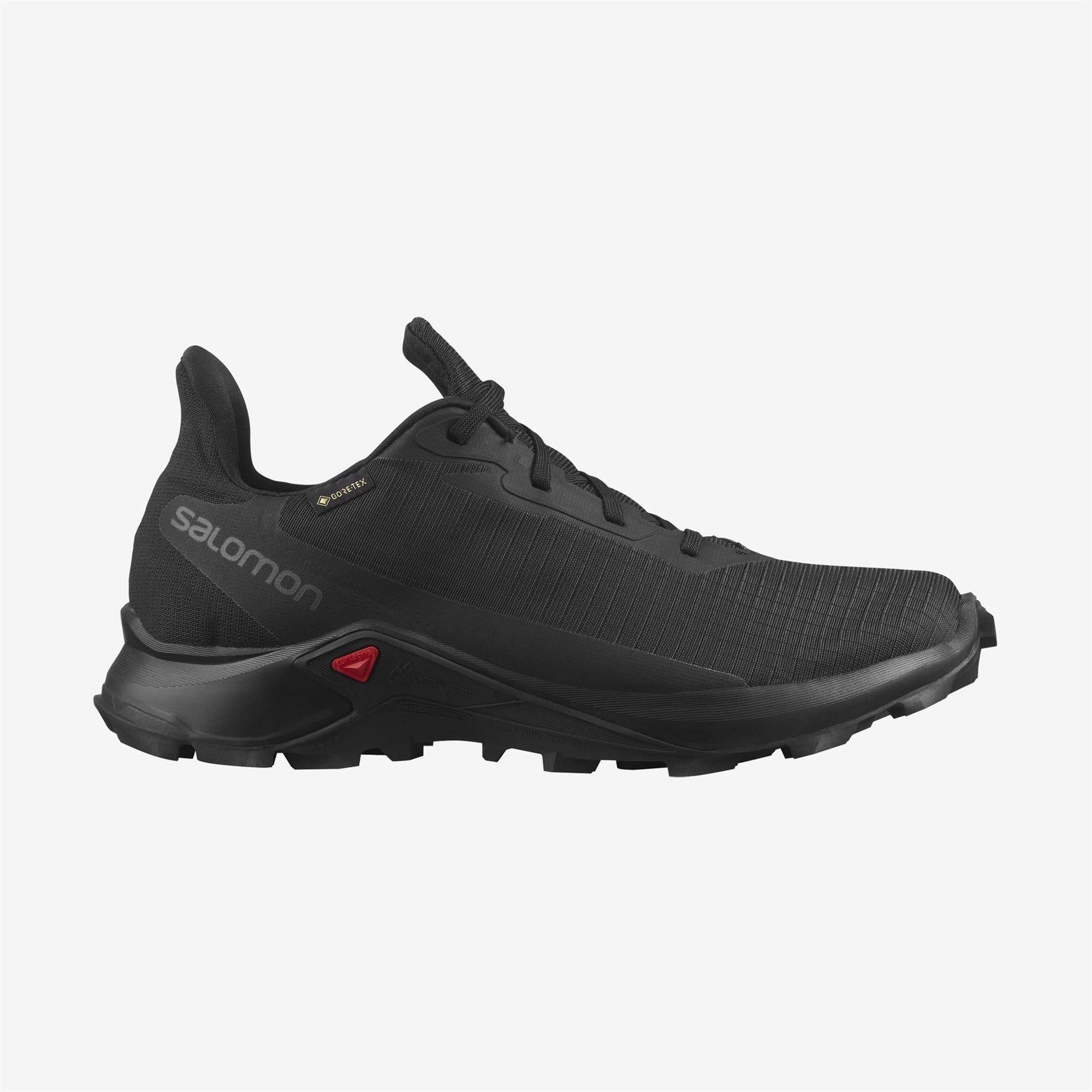 SALOMON ALPHACROSS 3 GTX W L41447400