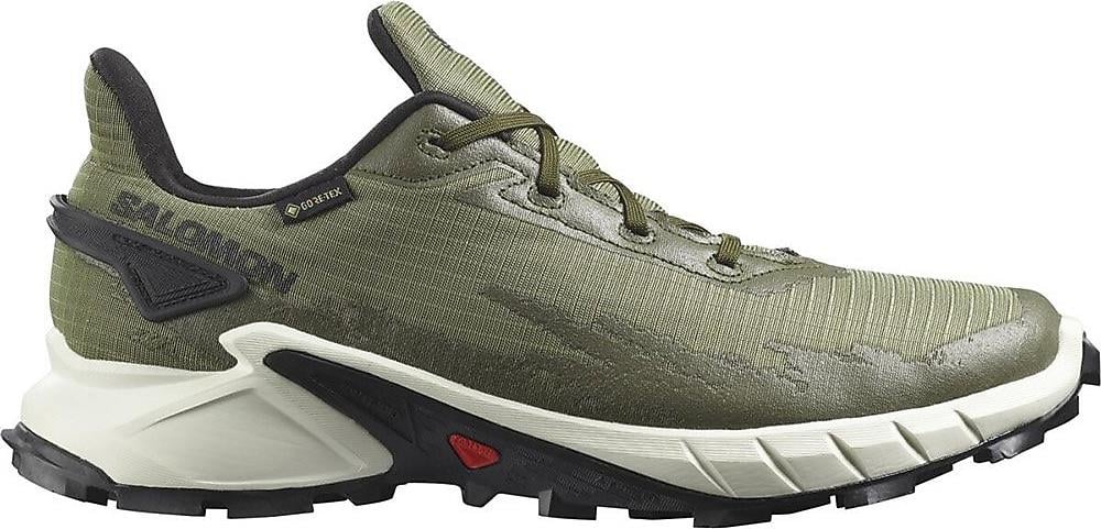 SALOMON ALPHACROSS 4 GTX L41723000