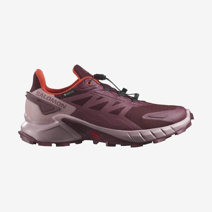 SALOMON SUPERCROSS 4 GTX W L47594500