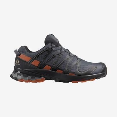 SALOMON XA PRO 3D v8 GTX L40989200