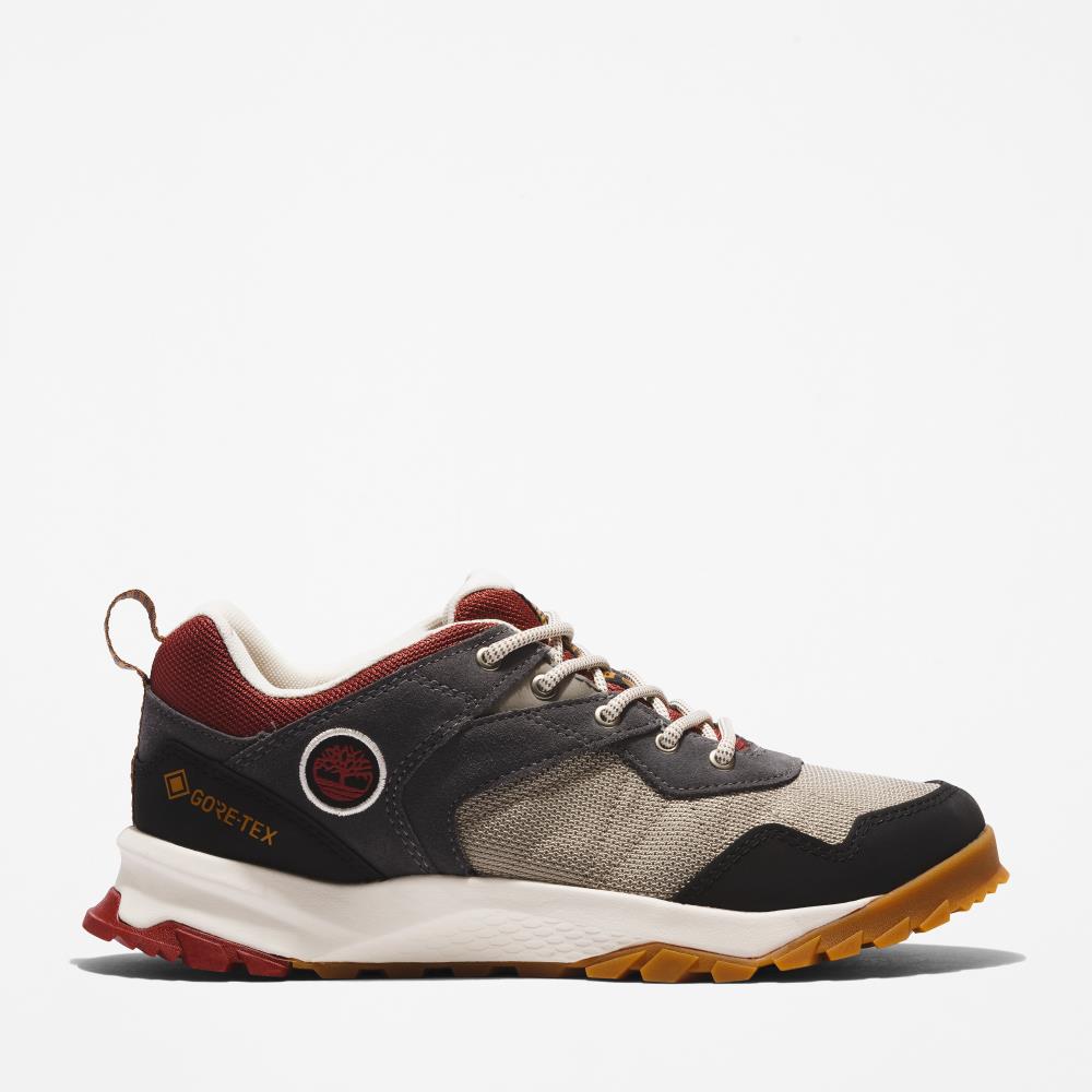 TIMBERLAND Lincoln Peak Low GTX TB0A5PT31101