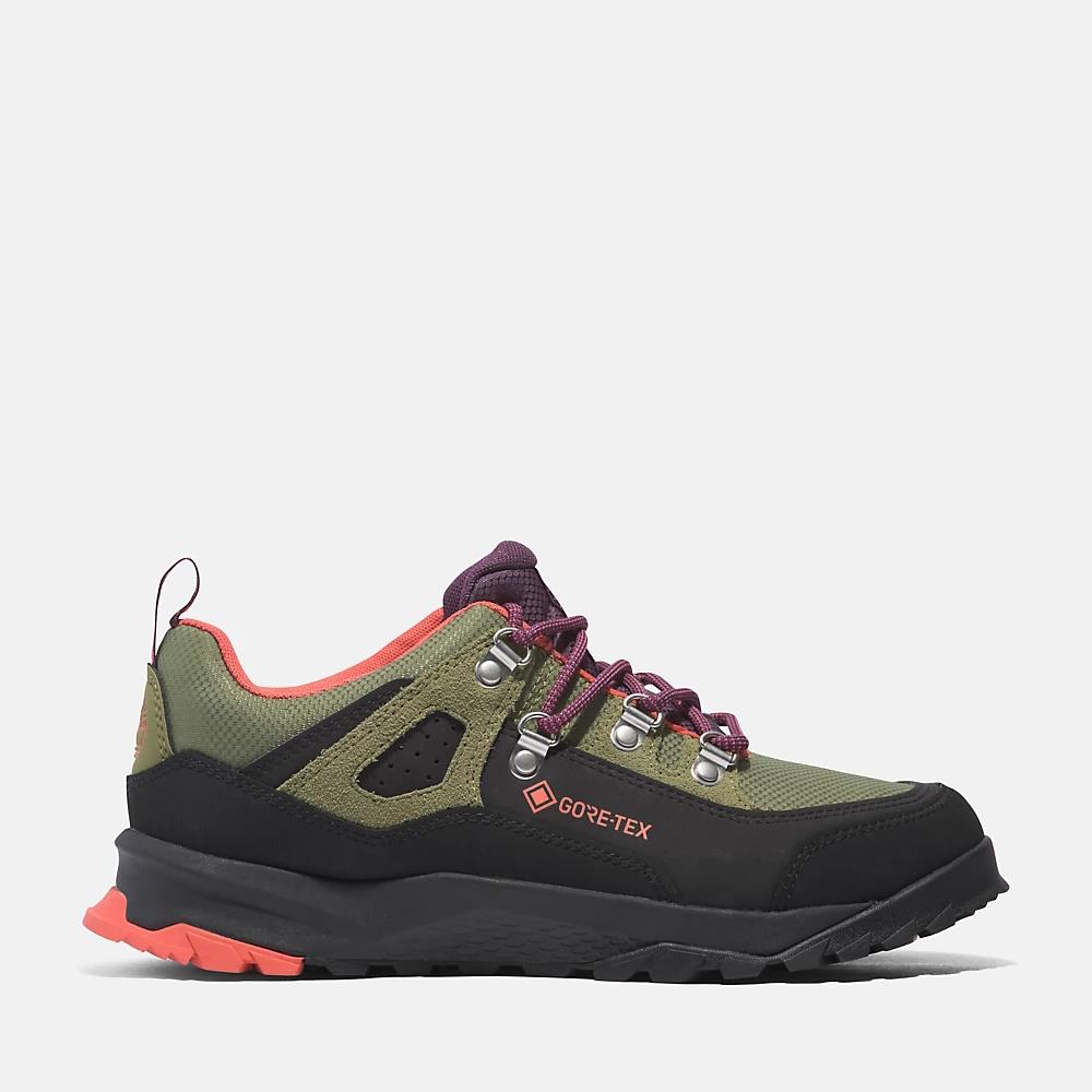 TIMBERLAND LOW LACE UP GTX HIKING BOOT TB0A5PEYEZ31