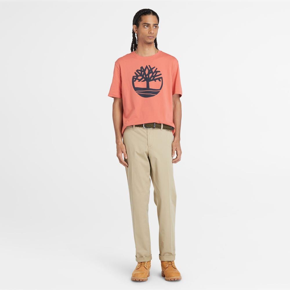 TIMBERLAND Twill Chino Pant (Straight) TB0A2BZADH41