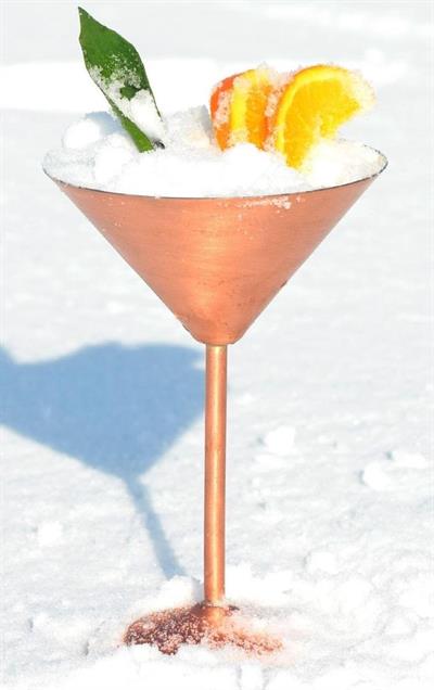 Turna Copper Martini Glass Plain 250 Ml Scotch Turna0459-4