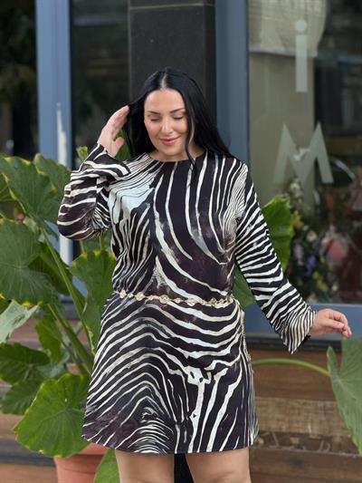 Savanna Zebra Elbise