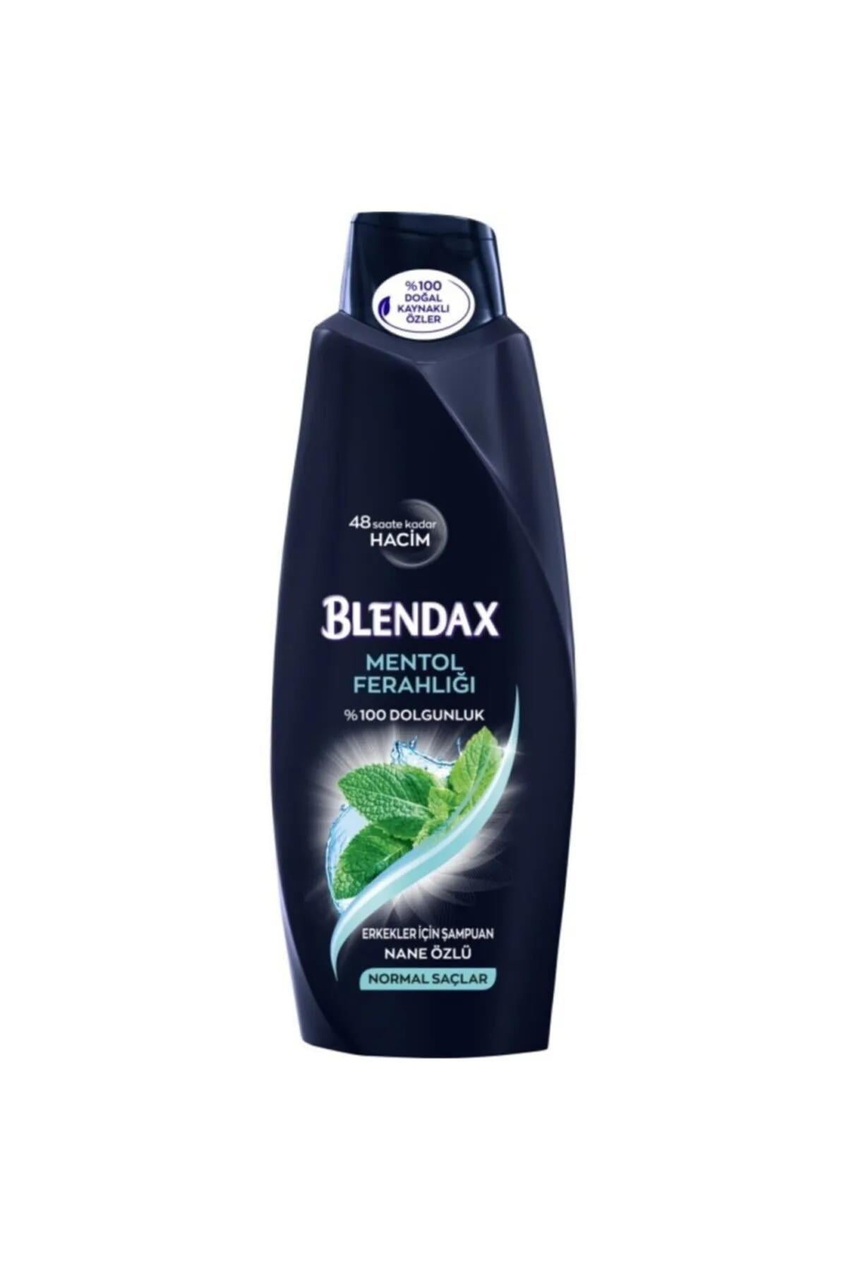 Blendax Erkekler Için Mentollü Şampuan 500 ml