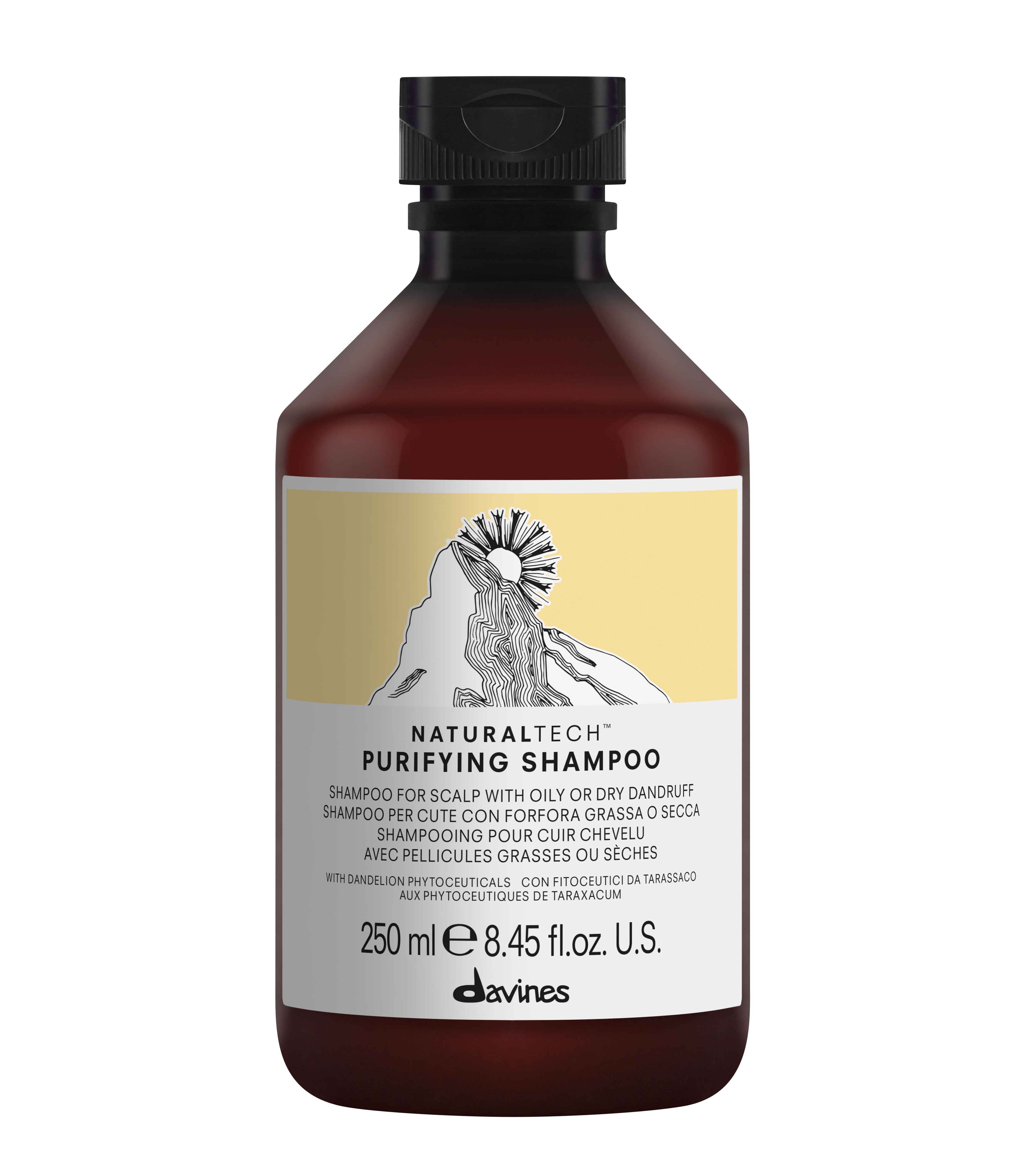 Davines NaturalTech Purifying Shampoo 250 ml