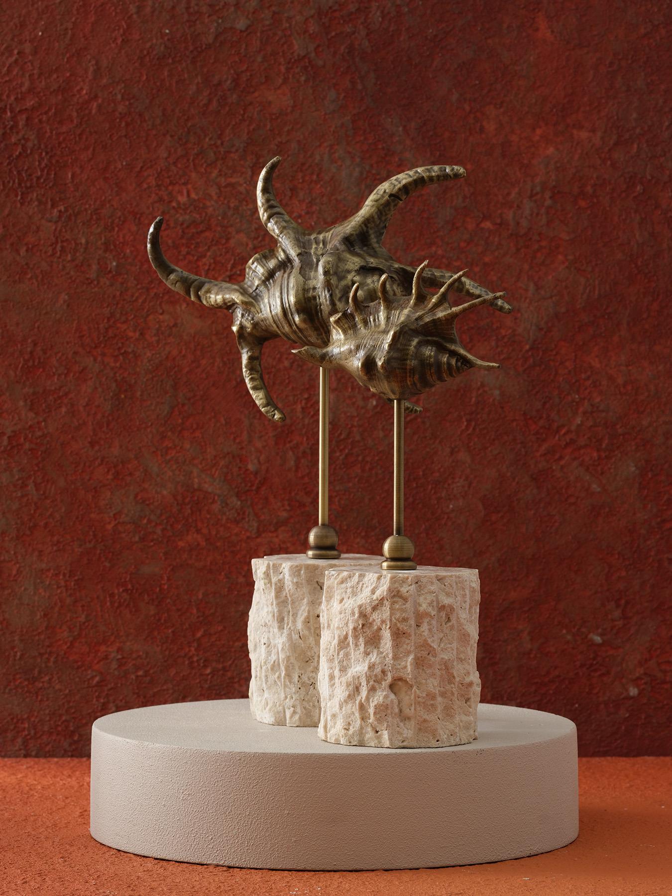 Marlect Co 2Li Pirinç Salyangoz Set