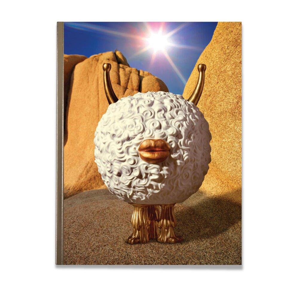 Lobjet Haas Kitap Lobhbbk1