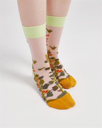 Kadın Japon Kore Tarzı Transparan Çorap  Çorap Güneş Desen