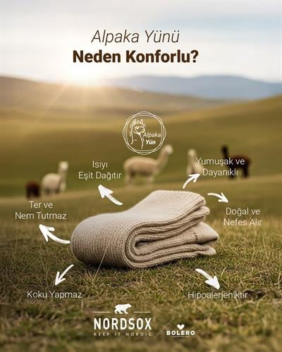 Kadın Alpaka Yün Çorap Bordo