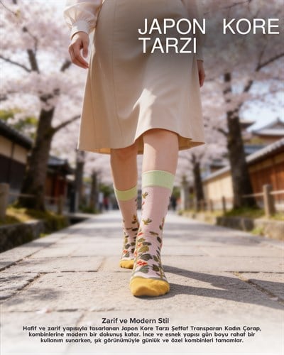 Kadın Japon Kore Tarzı Transparan Çorap  Çorap Güneş Desen