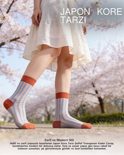 Kadın Japon Kore Tarzı Transparan Çorap Mavi Çizgili